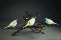 "Primavera" Collaboration w/Elizabeth Brim by Shane Fero