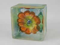 Bloom Series/Orange by Stephanie Trenchard