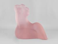 Pink Torso by 