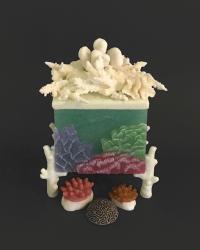 Reliquary for a Coral Reef by Ellen Abbott & Marc Leva