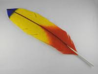 Parrot Feather by Michael Dupille
