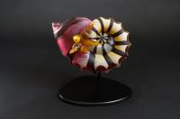 Desert Rose by 