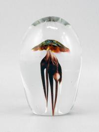 Paperweight/Jellyfish by 